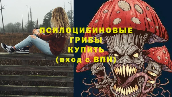 круглые Верея