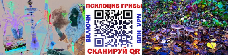 Псилоцибиновые грибы мицелий Псков