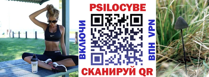 продажа наркотиков  Псков  Галлюциногенные грибы Psilocybe 